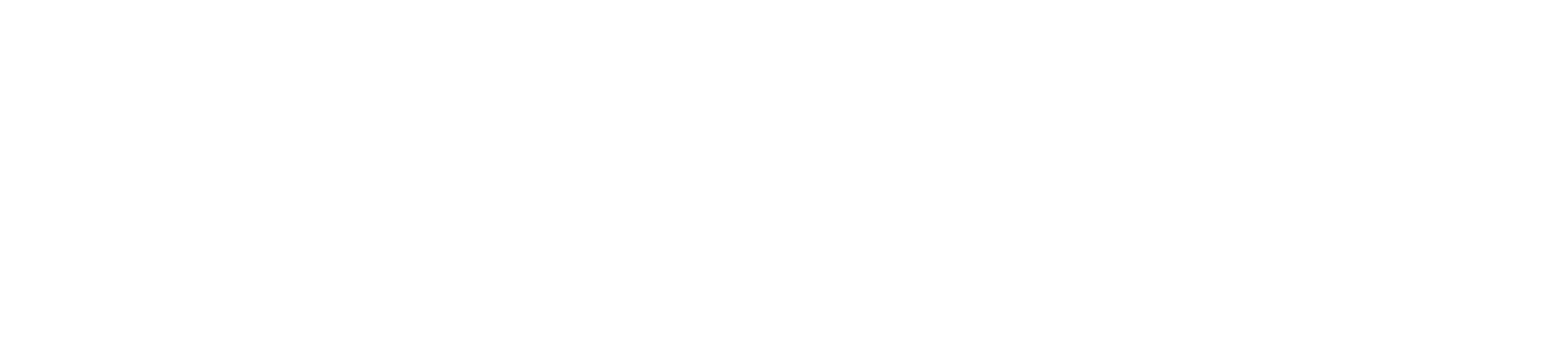 Fortis Wall Systems